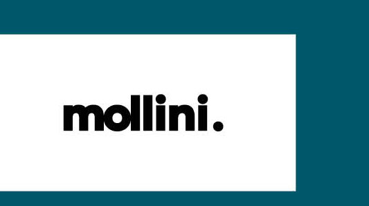 MOLLINI