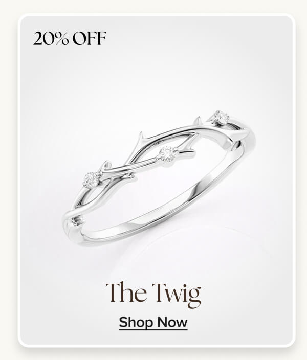 THE TWIG BAND