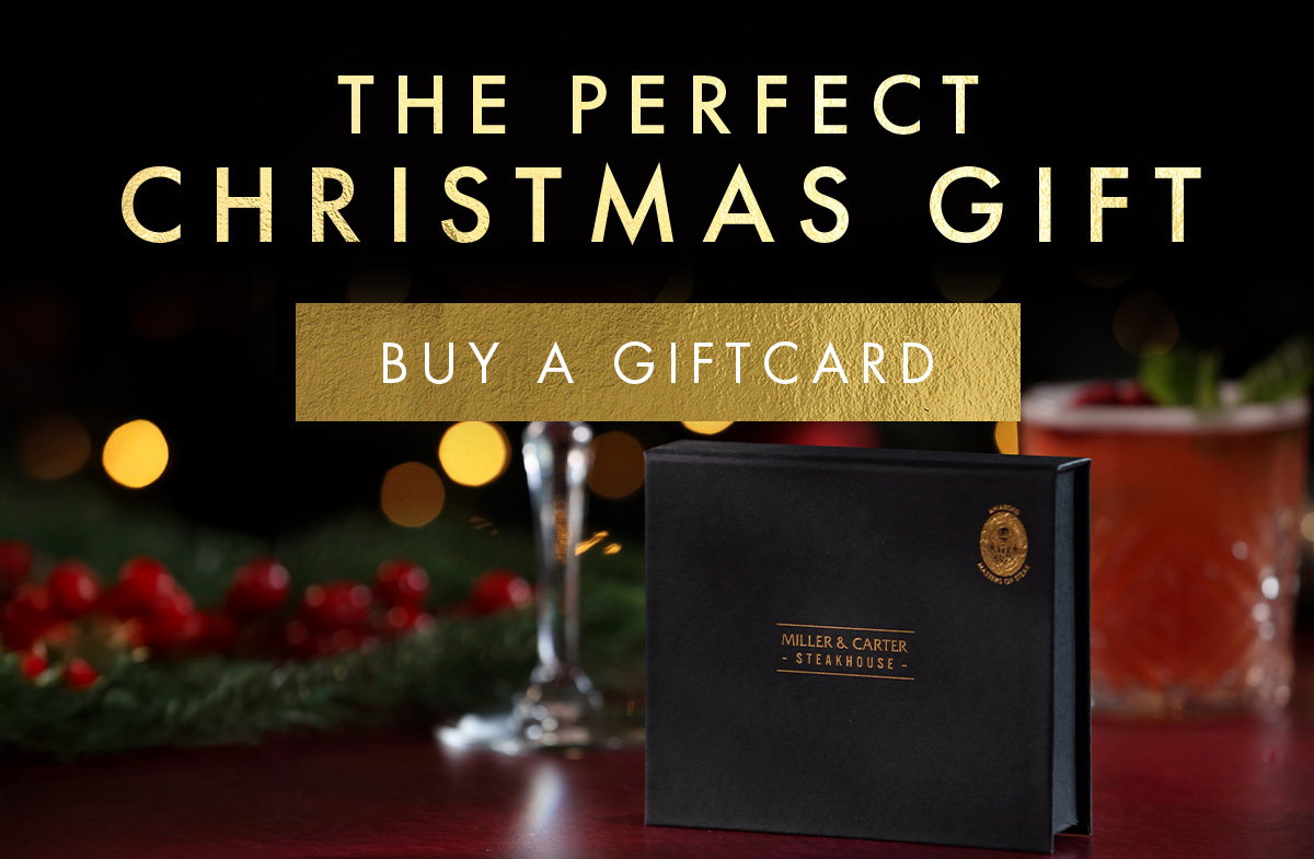 The perfect Christmas gift
