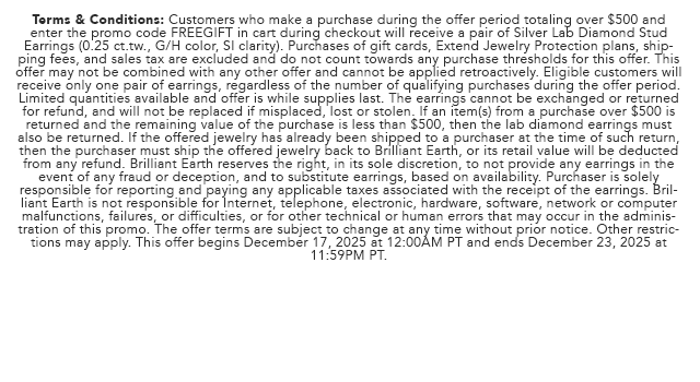 Promo Terms