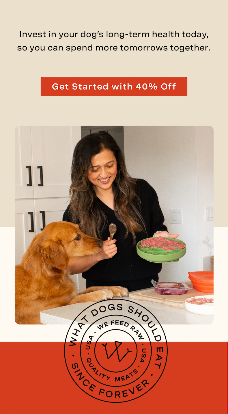 Invest in your dog’s long-term health today, so you can spend more tomorrows together.