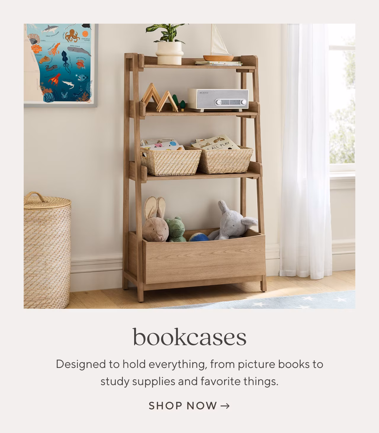 bookcases. shop now