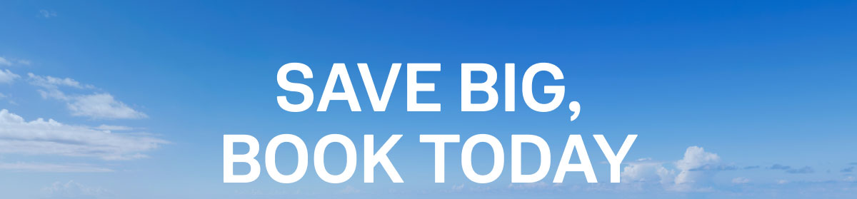 Save Big Book Today