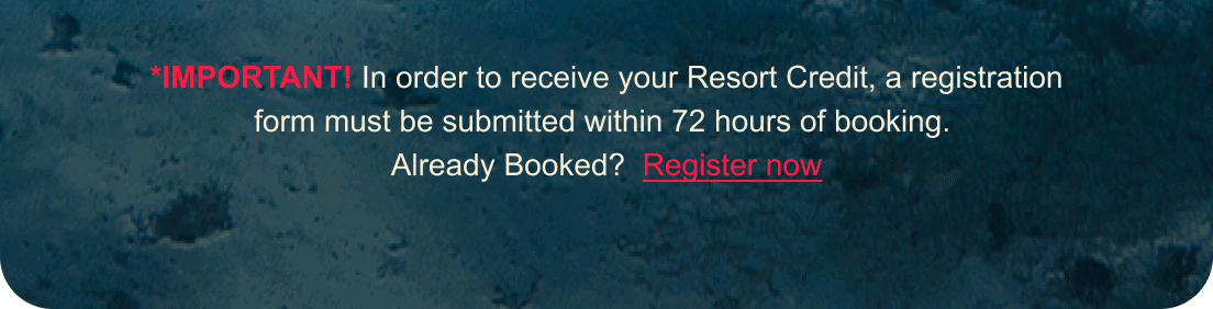 Register Now