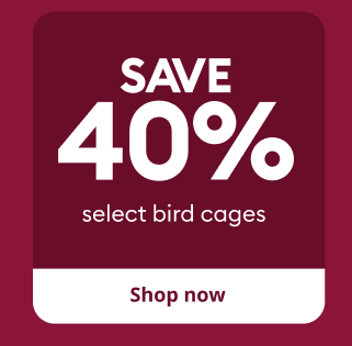 Display images to show real-time content
