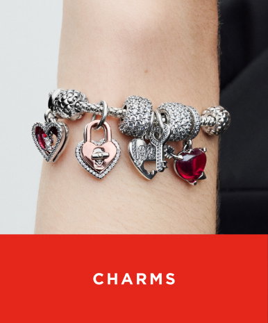 Shop Charms