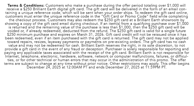 Promo Terms