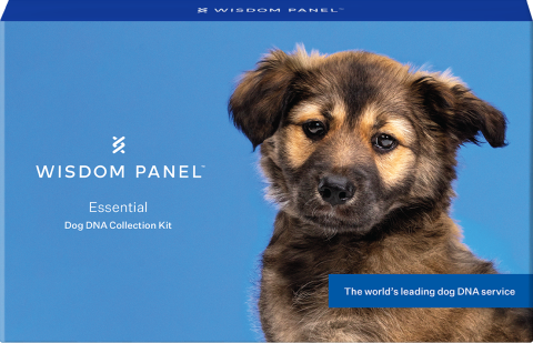 Wisdom Panel Essential