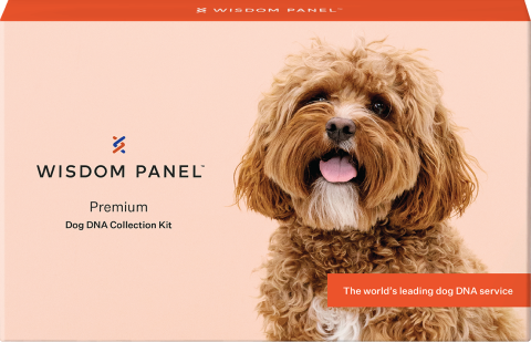 Wisdom Panel Premium