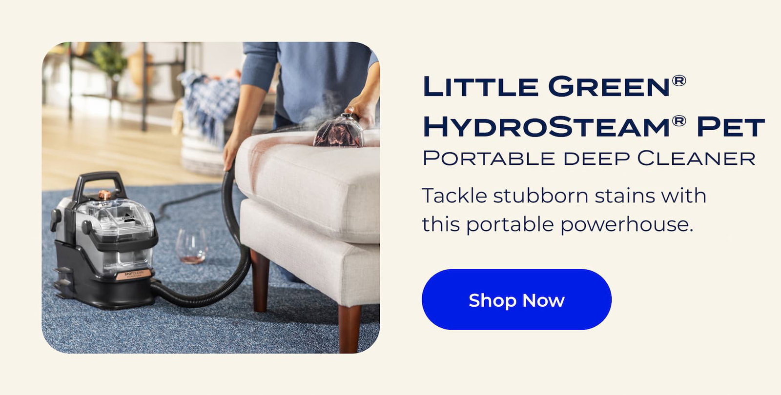 Little Green HydroSteam