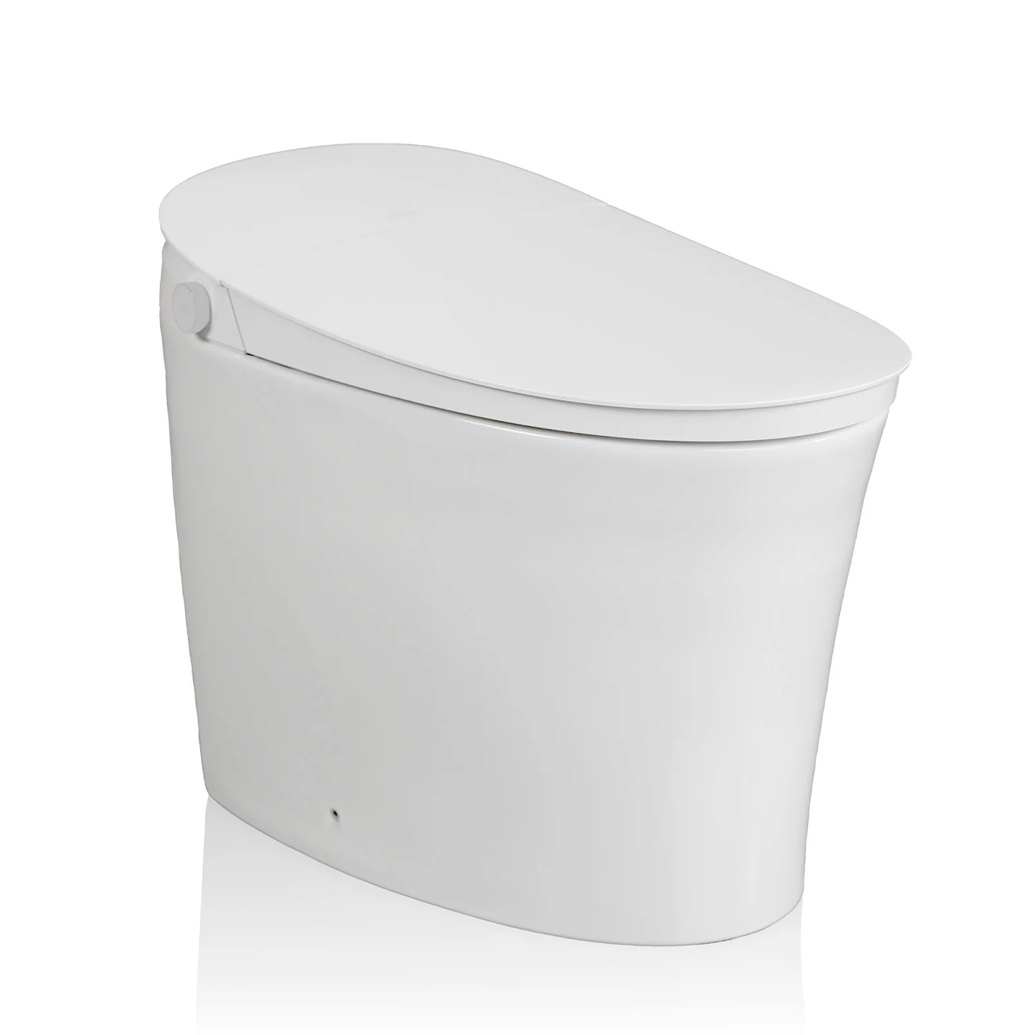 Image of BidetKing Throne Toilet