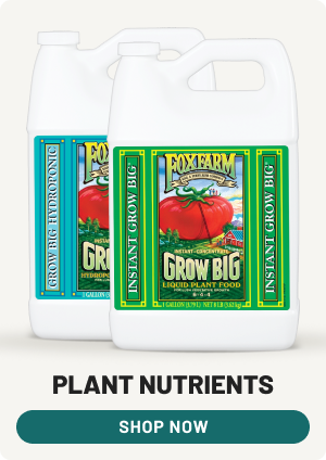 Plant Nutrients - Shop Now