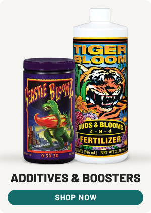 Additives and Boosters - Shop Now