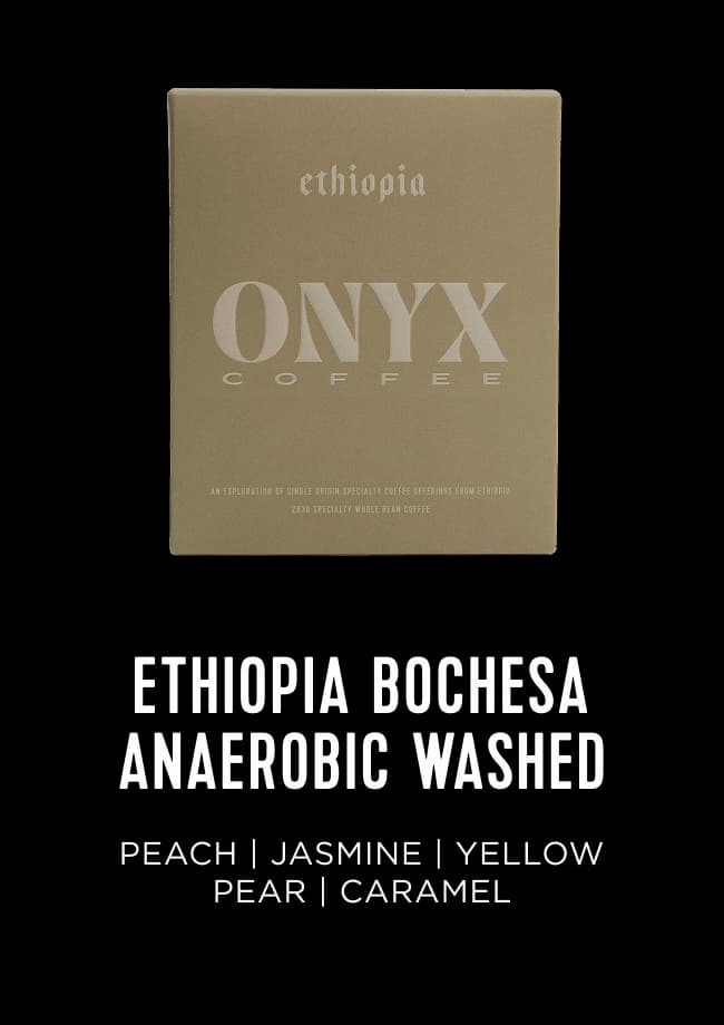 Ethiopia Bochesa Anaerobic Washed