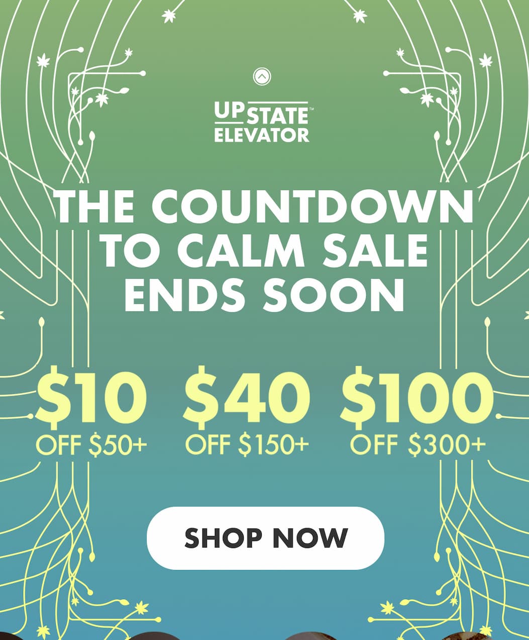 Shop Best Sellers