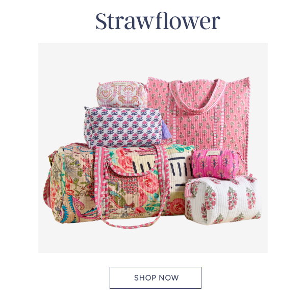 Strawflower. Shop now