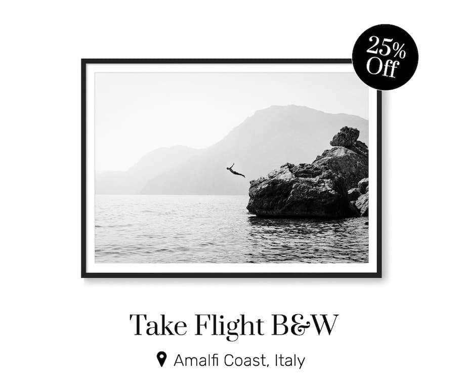 Take Flight B&W