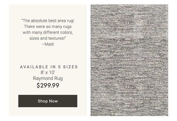 8' x 10' Raymond Rug - Shop Now