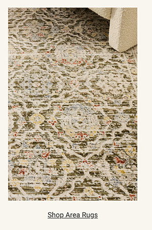 Shop Area Rugs Category