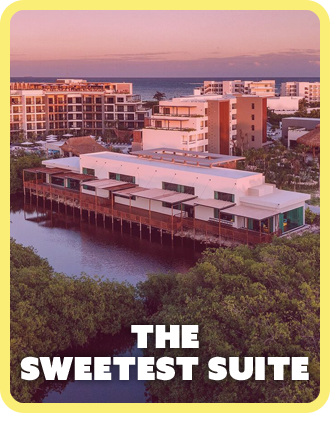 The Sweetest Suite