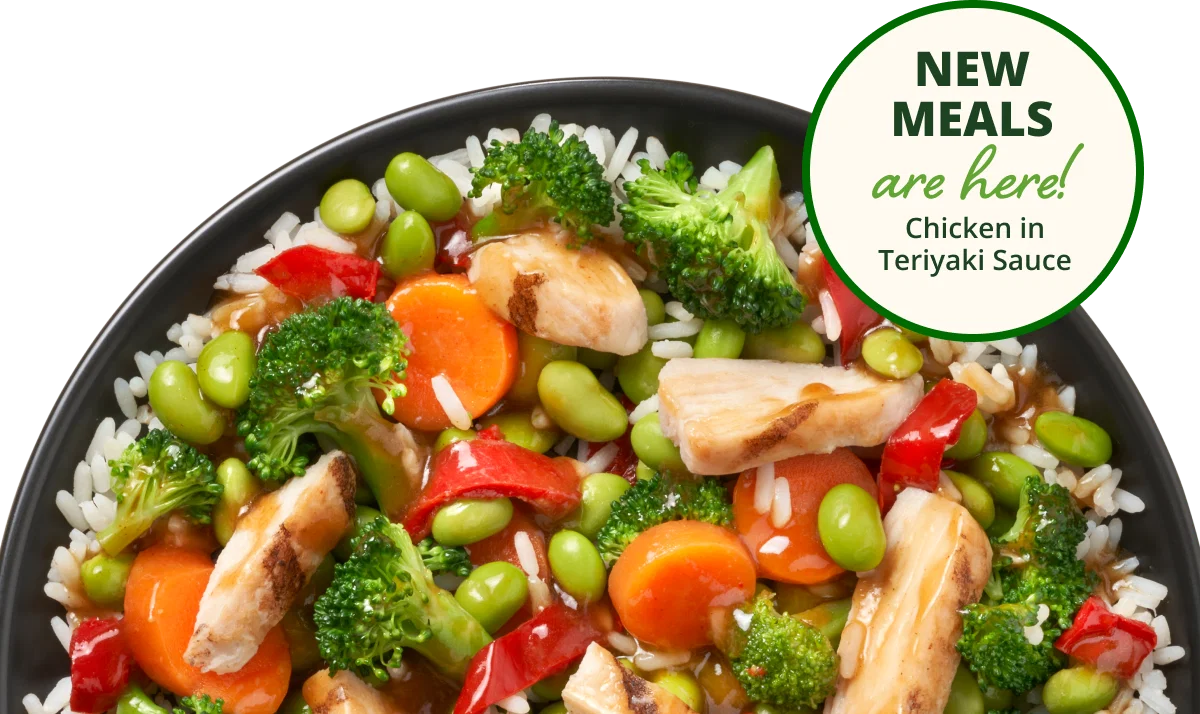 NEW MEALS | ARE HERE! | CHICKEN IN TERIYAKI SAUCE