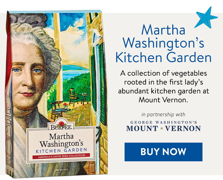 A Colonial Dooryard Herb Garden