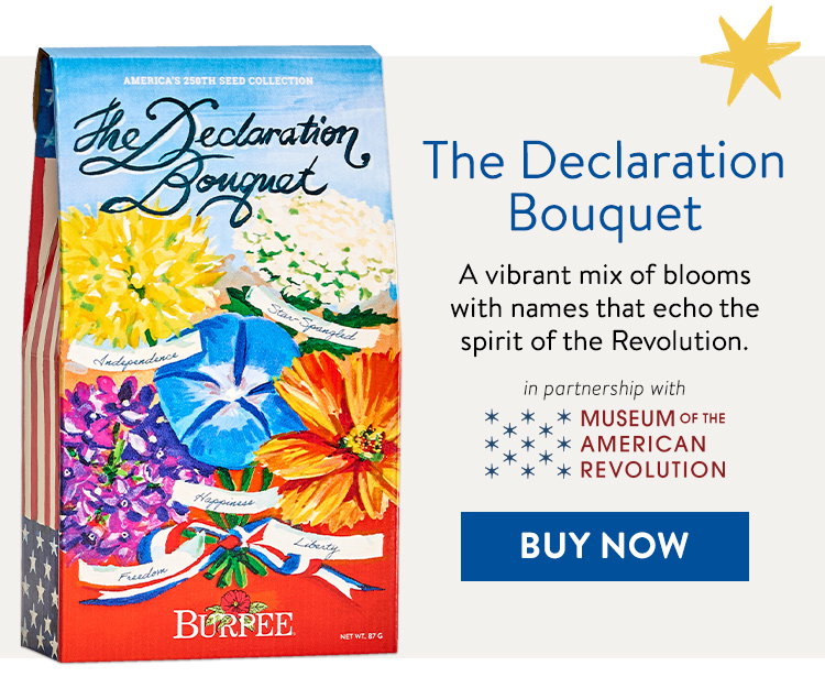 The Declaration Bouquet