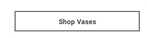 Shop Vases