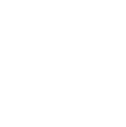 Price Match Icon