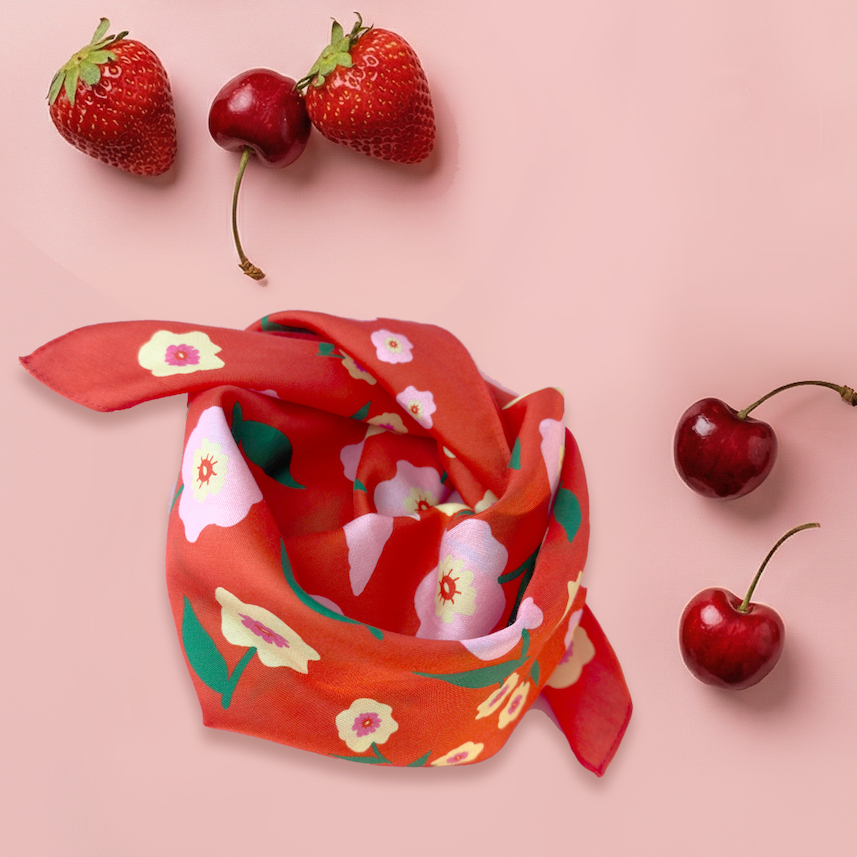 cat garden gnome bandana