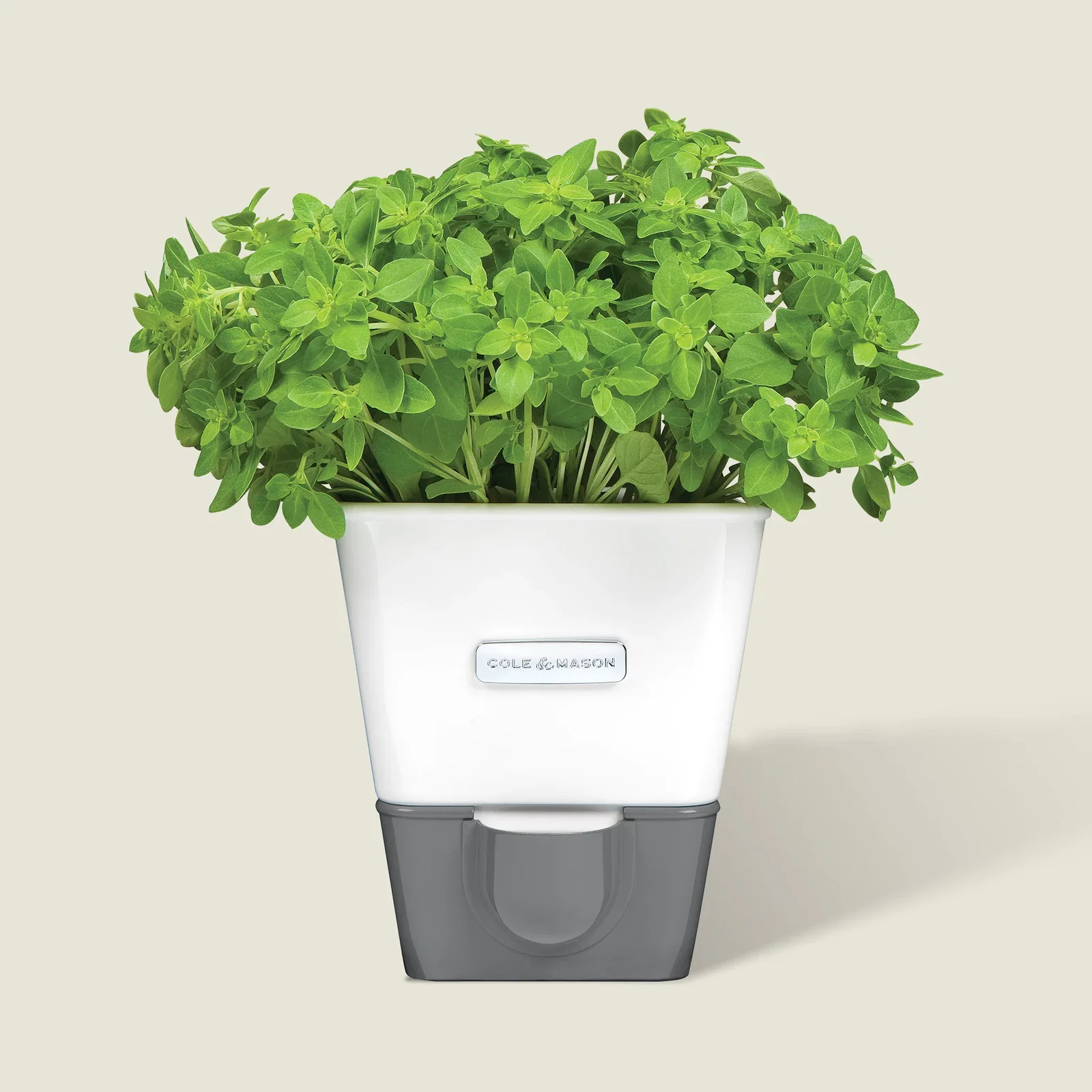 Image of Burwell Self-Watering Potted Herb Keeper