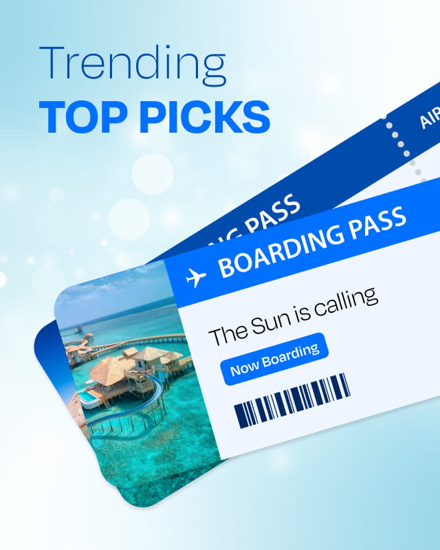 Trending Top Picks