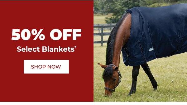 Save 50% off select horse blankets