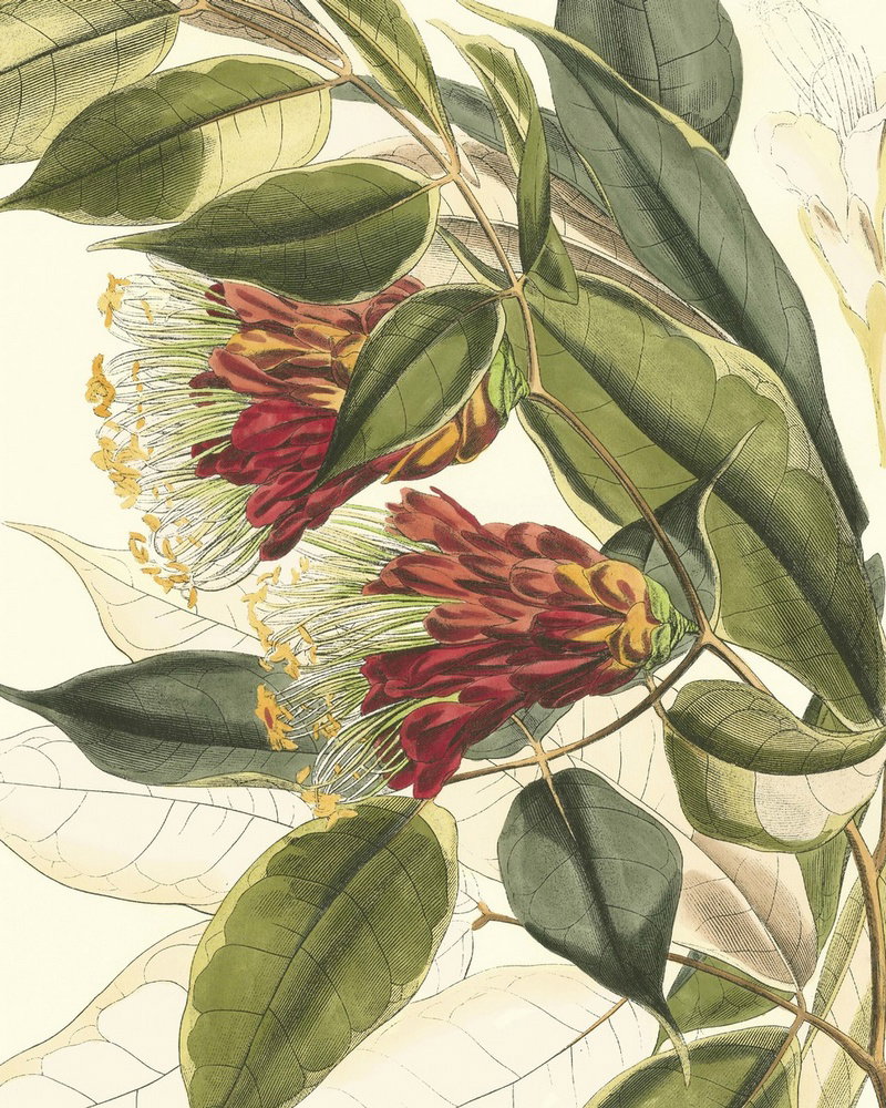 Fantastical Botanical II by Vision Studio