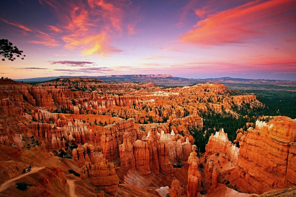 Utah, Bryce Canyon National Park by Stefano Amantini