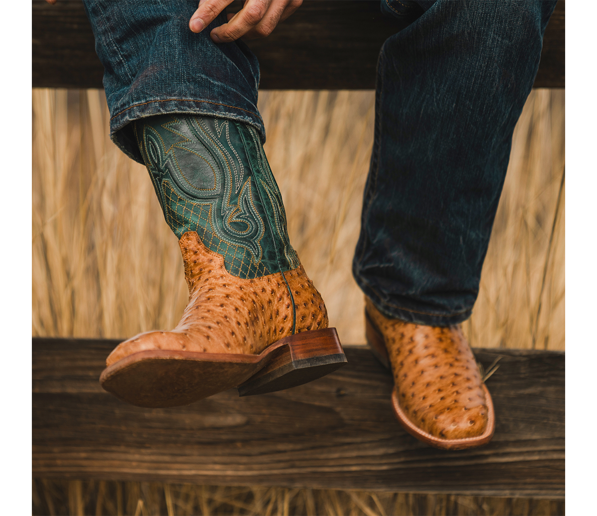 STETSON BOOTS
