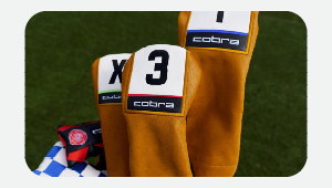 Cobra Accessories