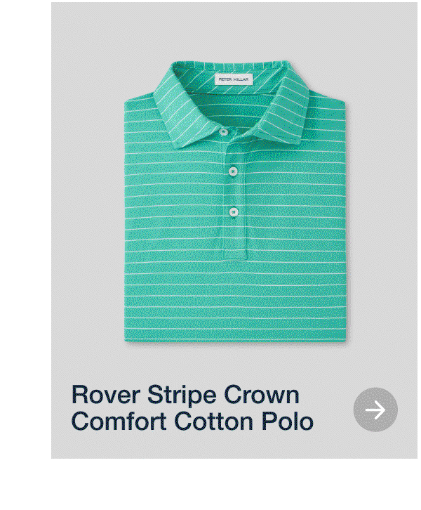 Rover Polo