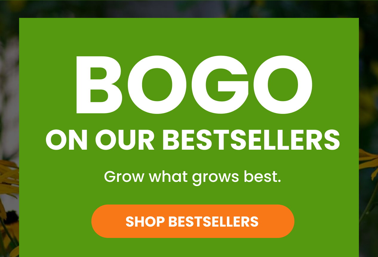 Shop Bestsellers