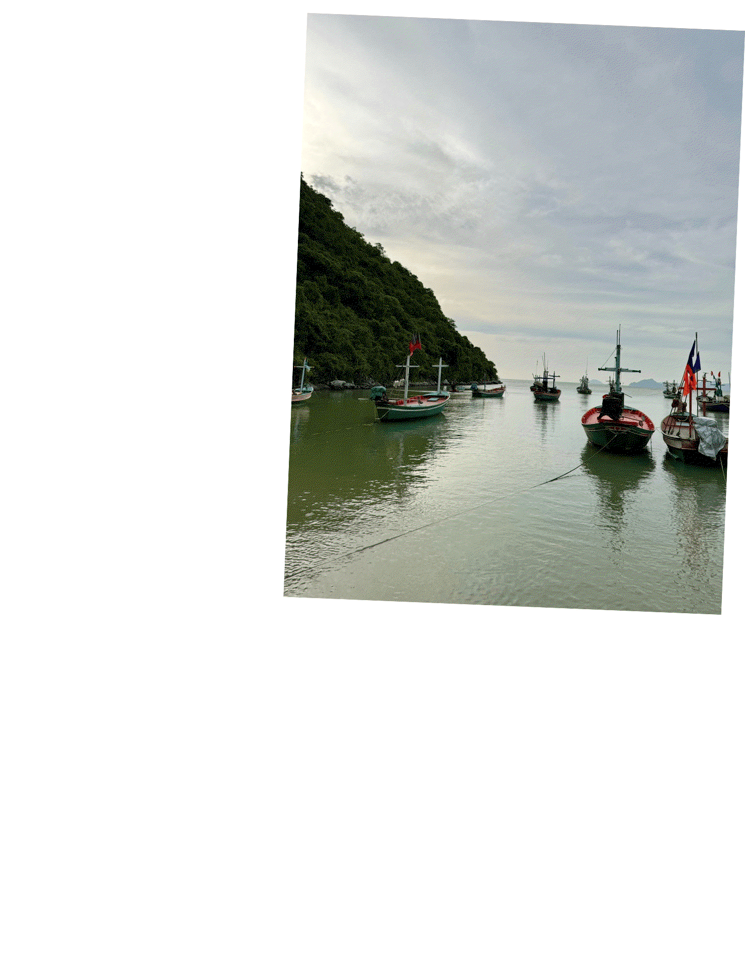blog