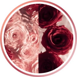 Parfum