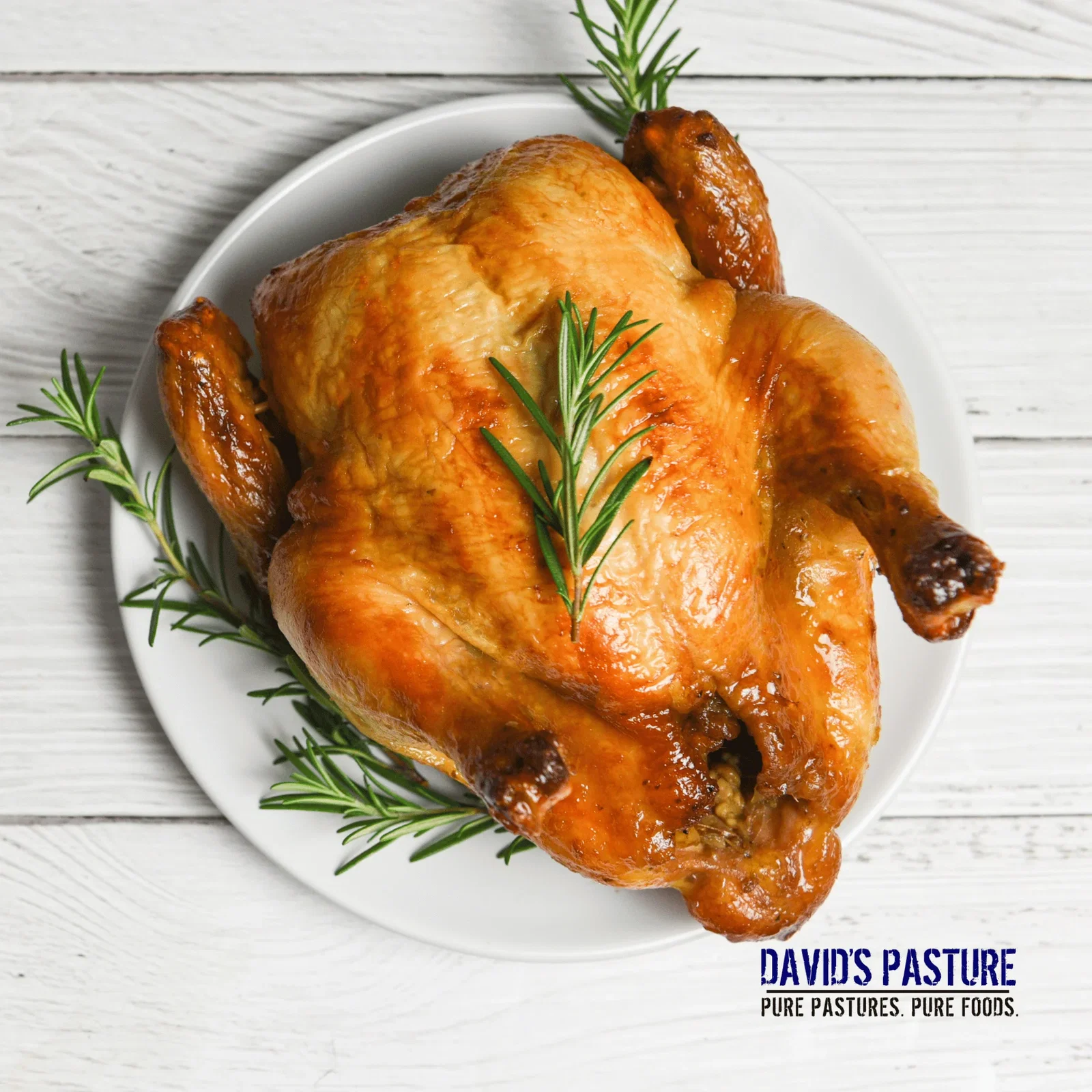 Image of Pasture-Raised Whole Chicken