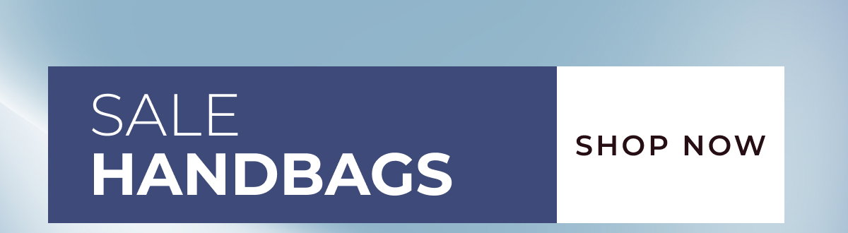 jan16am_salehandbags