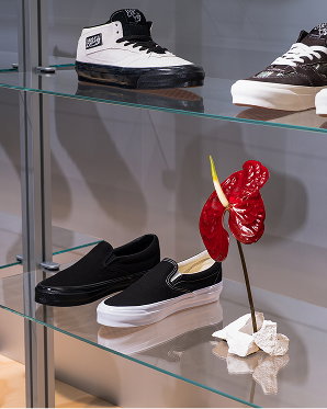 Vans Le Marais