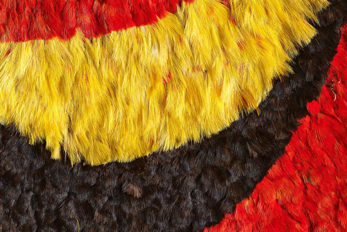 Close-up of feathered cloak worn by Hawaiian chiefs.