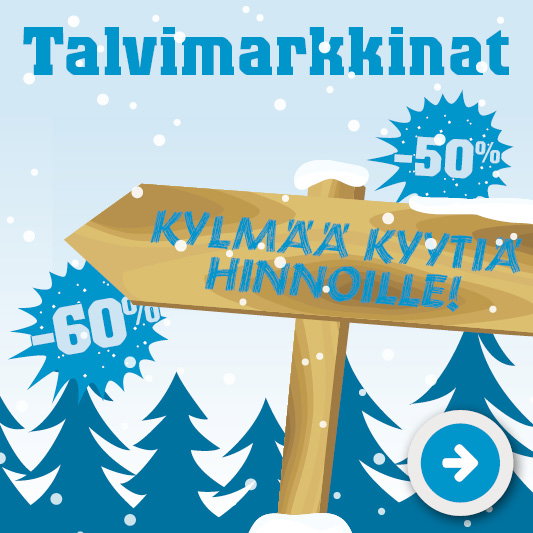 Talvimarkkinat