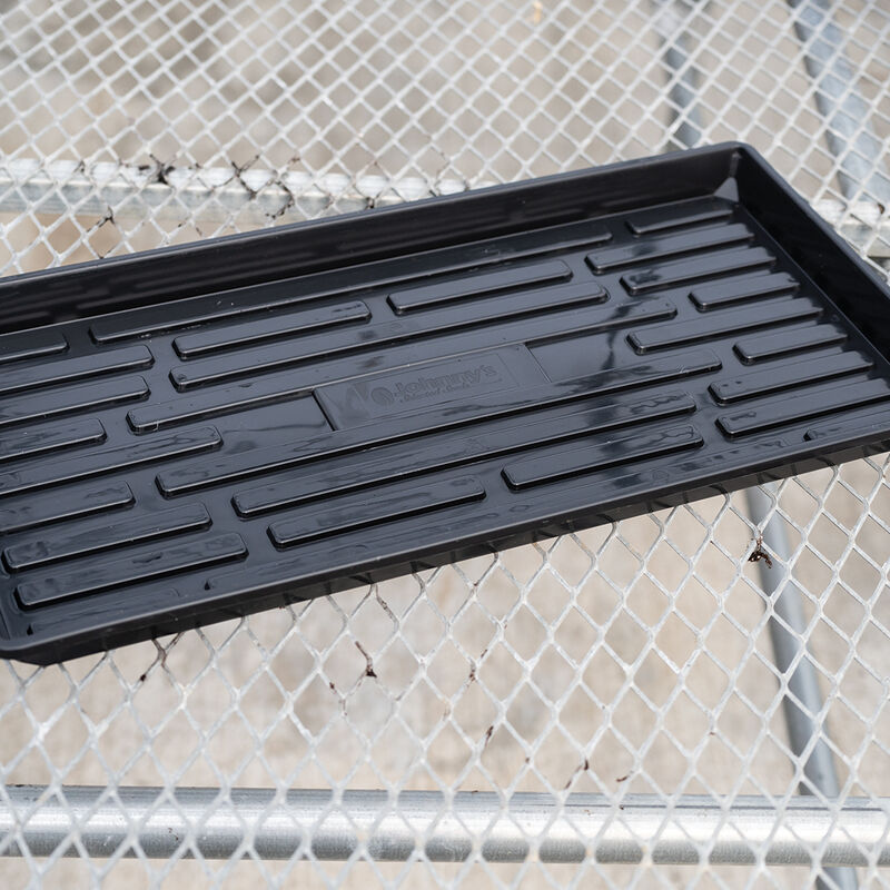 Endurance Tray Photo