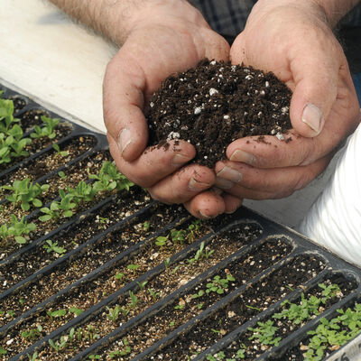 Growing Media Photo
