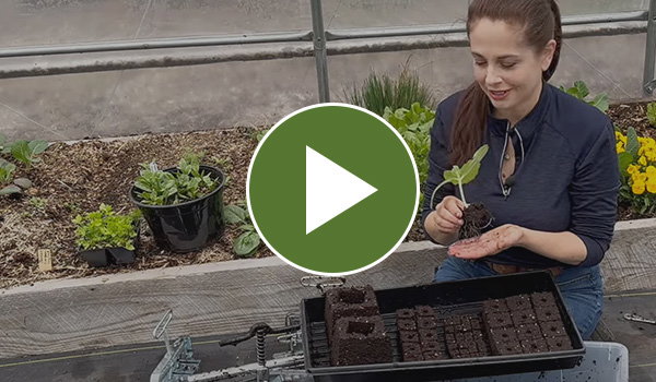Soil Blocking Video Static Image