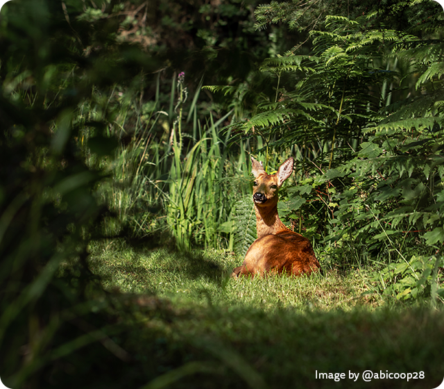 Surrounded by nature
